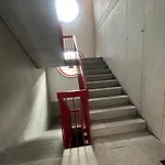 Modern Living, Luxe